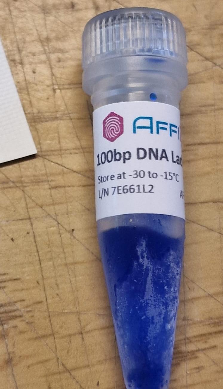 DNA Ladder as Your Molecular Compass