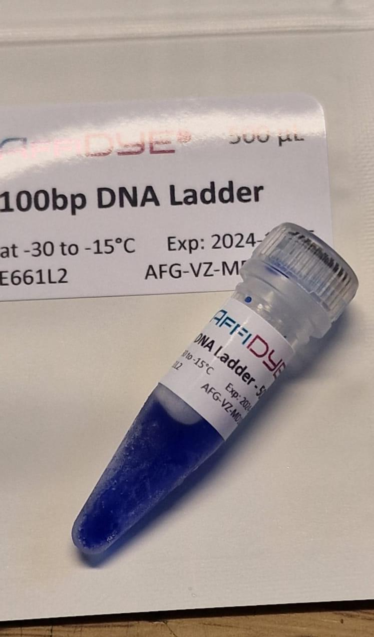 Confidence in Genotyping: DNA Ladder, Your Beacon of Assurance